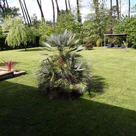 Chambre D'Hotes Les Iris A Mios Sur Le Bassin D'Arcachon Exterior foto